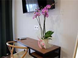 Hotel Boutique Los Alamos