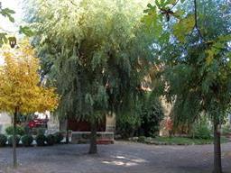 Hostal Racó del Tosca-Jardines