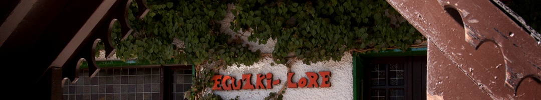 Hotel Eguzki-Lore