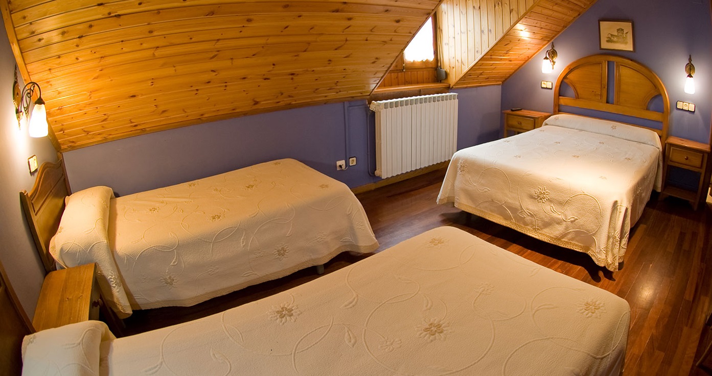 Hotel Avenida Benasque